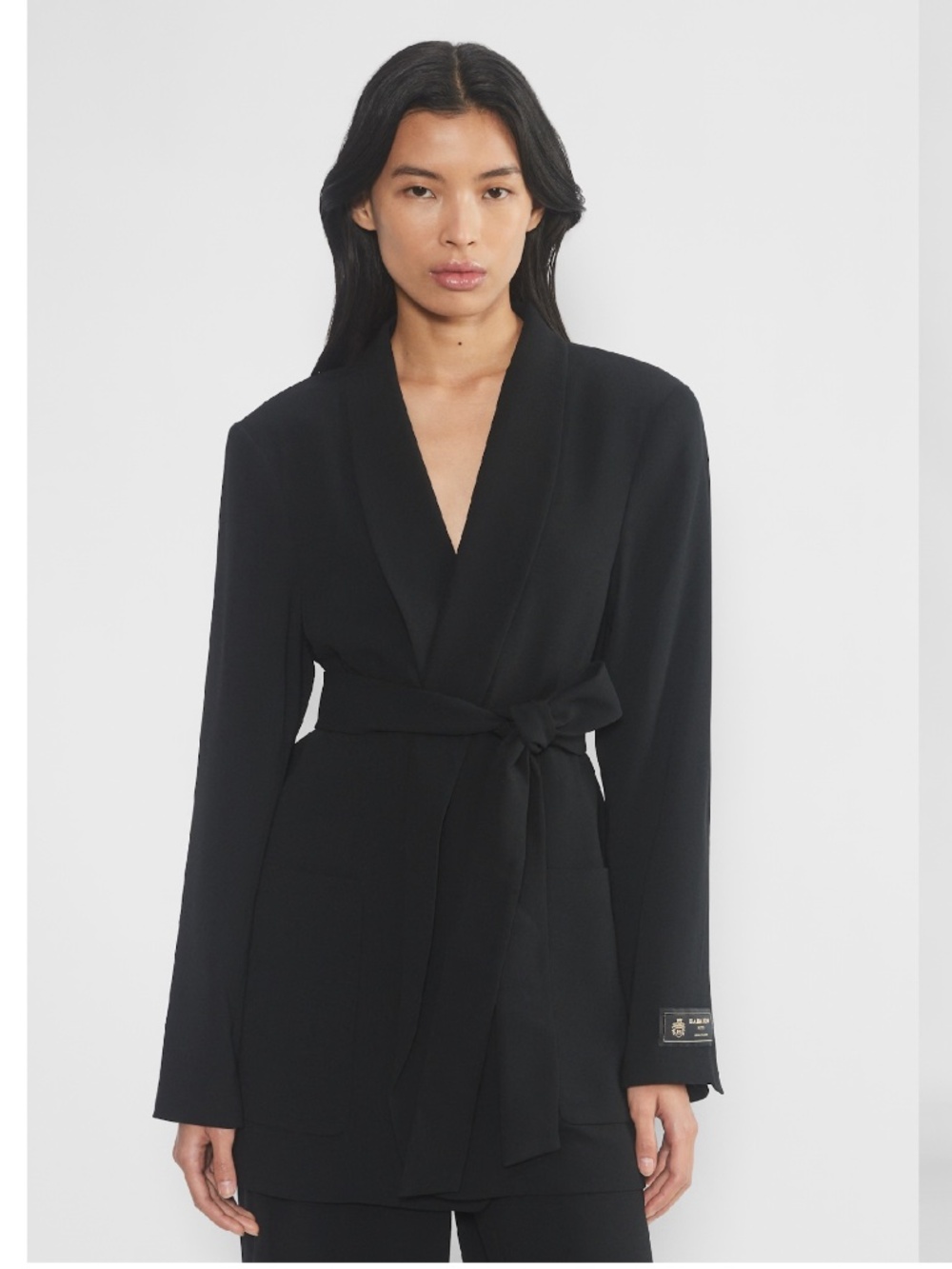 Aritzia Babaton Executive Blazer